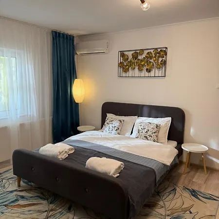 Apartment Cozy Two-room Craiova