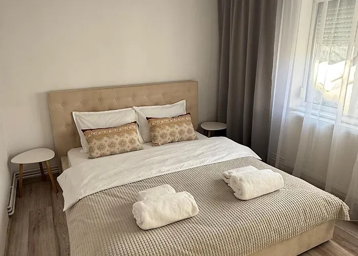 Cozy Two-room 아파트 크라이오바